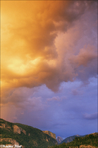 2006 Digital