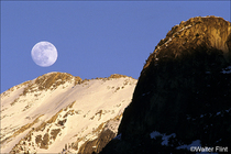 2003 Fuji Velvia Film