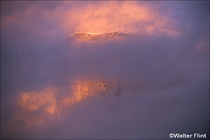 2004 Fuji Velvia Film