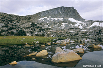 2003 Fuji Velvia Film