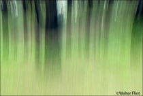 2009 Digital