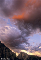 2004 Fuji Velvia Film