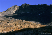 2004 Fuji Velvia Film
