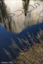 2009 Digital
