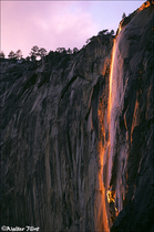 2003 Fuji Velvia Film