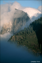 2004 Fuji Velvia Film