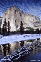 2001 Kodak Ektachrome Film