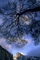 2003 Fuji Velvia Film