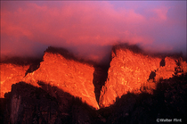 2005 Fuji Velvia Film