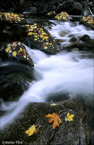 2002 Fuji Velvia Film