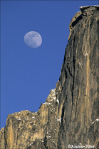 2002 Fuji Velvia Film