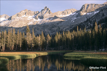 1998 Fuji Velvia Film