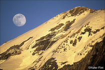 2003 Fuji Velvia Film