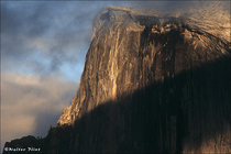 2006 Fuji Velvia Film