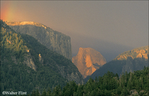 2006 Fuji Velvia Film