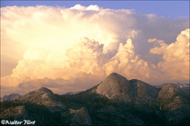 2005 Fuji Velvia Film