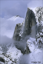 2003 Fuji Velvia Film