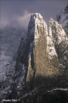 2004 Fuji Velvia Film