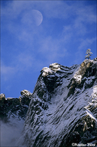 2006 Fuji Velvia Film