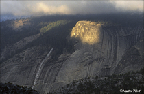 1999 Fuji Velvia Film