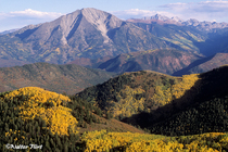 1995 Fuji Velvia Film