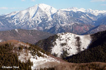 1995 Kodak Ektar 25 Film