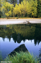 2005 Fuji Velvia Film