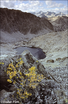 1992 Kodak Kodachrome 64 Film