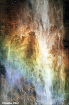 2003 Fuji Velvia Film