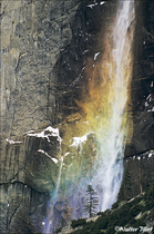 2003 Fuji Velvia Film