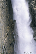 2003 Fuji Velvia Film