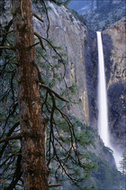 2002 Fuji Velvia Film