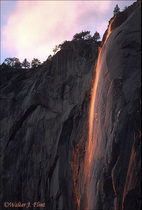 2003 Fuji Velvia Film