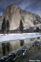 2002 Fuji Velvia Film