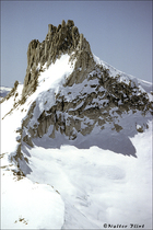 1991 Kodak Kodachrome 64 Film