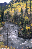 1995 Fuji Velvia Film