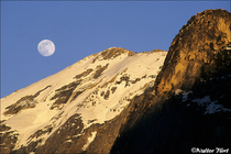 2002Fuji Velvia Film