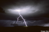 1995 Kodak Kodachrome 25 Film