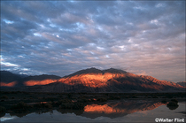 2000 Fuji Velvia Film