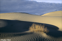 2000 Fuji Velvia Film