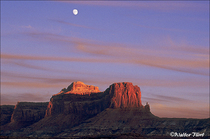 1996 Fuji Velvia Film