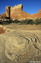 1995 Fuji Velvia Film