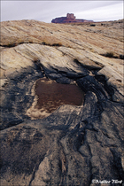 1996 Fuji Velvia Film