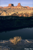 1996 Fuji Velvia Film