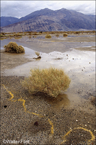 2001 Kodak Ektachrome 100 Film