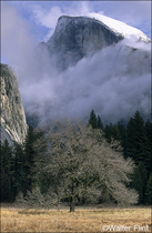 2004 Fuji Velvia Film