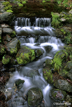 2001 Fuji Velvia Film