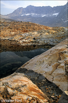 2003 Fuji Velvia Film