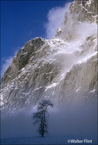 2002 Fuji Velvia Film