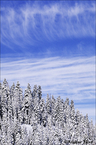 2003 Fuji Velvia Film